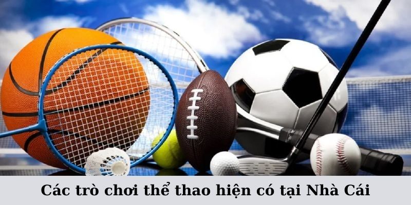 the-thao-cac-bo-mon